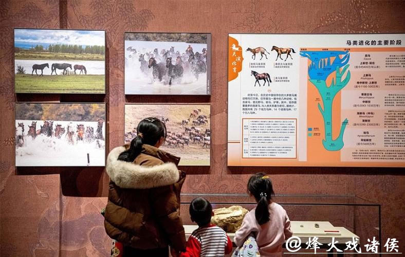 博物院里找“马”